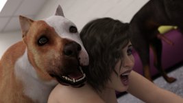 529.jpg