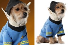 costume-cani-star-trek.jpg