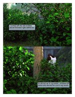 05_Page_05.jpg
