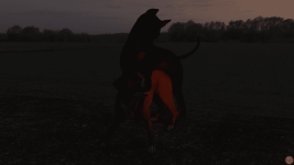 3de4ccc1efa03effb15ecb5c547ae2ab2.png