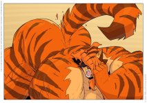 Tiger_Onesie_015_Small.jpg