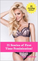 21 Stories of First Time Feminization.jpg