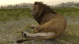 Natures Way 11.png