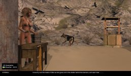 009A2x_Shed_Morning_wash_angle_Crows.jpg
