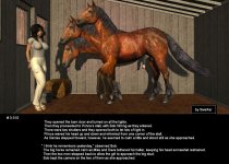 3_310XXX_Stable_x3Horse.jpg