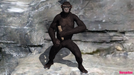 15.png