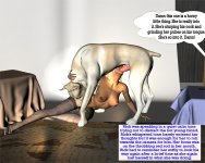64.jpg
