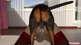 19.png