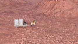 Old-Wild-West-34.jpg