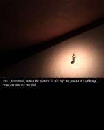207.jpg
