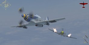 40.jpg