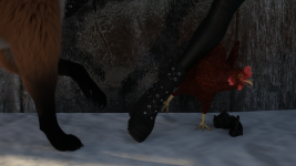 Hen House 13.png