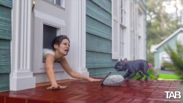 Doggy Door 2.jpg