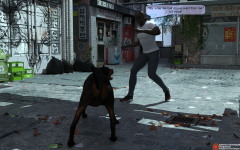 09.png