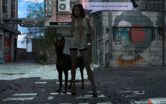 17.png