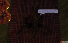 17.png