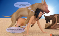 23.png