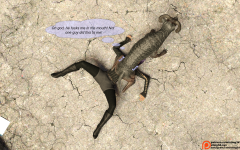 08.png