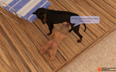 08.png