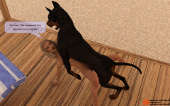 10.png
