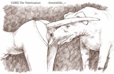 The Veterinarian 144.jpg