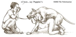 The Veterinarian 171.jpg