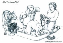 The Veterinarys Visit.jpg