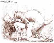 wolves mate.jpg