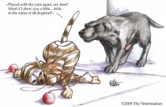 The Veterinarian 026.jpg