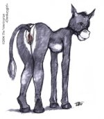 The Veterinarian 063.jpg
