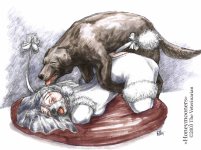 The Veterinarian 064.jpg