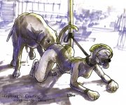 The Veterinarian 085.jpg