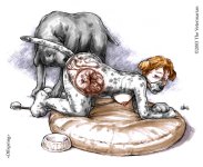 The Veterinarian 148.jpg