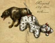 The Veterinarian 178.jpg