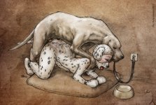 The Veterinarian 193.jpg