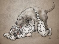 The Veterinarian 329.jpg