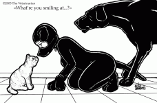 The Veterinarian 025.gif