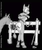 The Veterinarian 028.gif