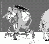 The Veterinarian 029.gif