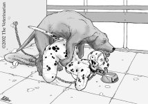 The Veterinarian 089.jpg