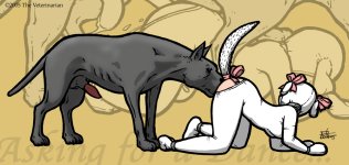 The Veterinarian 018.jpg