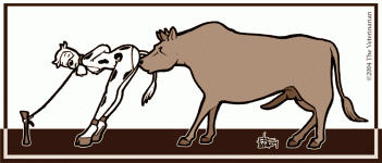 The Veterinarian 039.gif