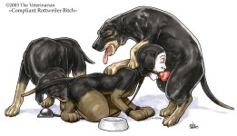 The Veterinarian 079.jpg
