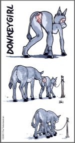 The Veterinarian 084.jpg