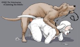 The Veterinarian 109.jpg