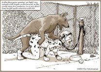 The Veterinarian 113.jpg