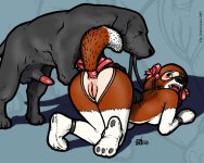 The Veterinarian 194.jpg