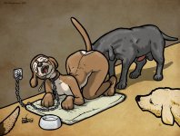 The Veterinarian 195.jpg