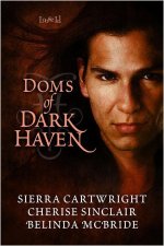 Doms of Dark Haven MF - Cherise Sinclair.jpg Doms of Dark Haven MF - Cherise Sinclair.jpg