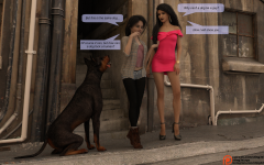 13_11.png